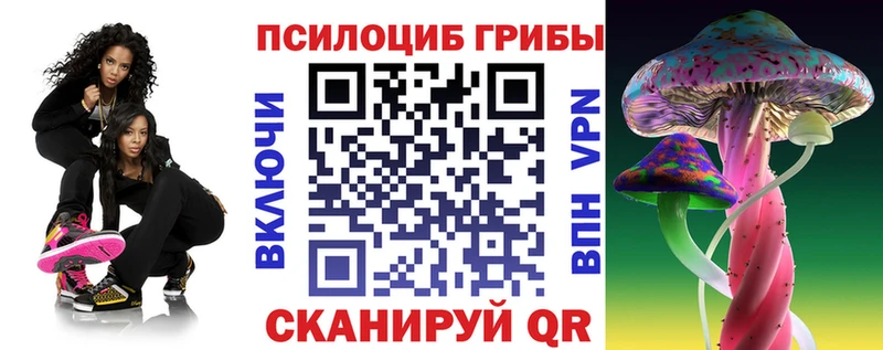 Псилоцибиновые грибы Psilocybe  сколько стоит  кракен сайт  Заозёрск 